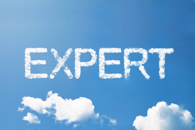 EXPERT
