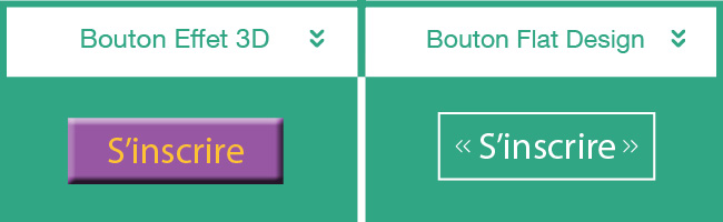 Bouton 3D et Flat