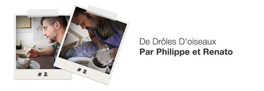De-Drôles-Doiseaux